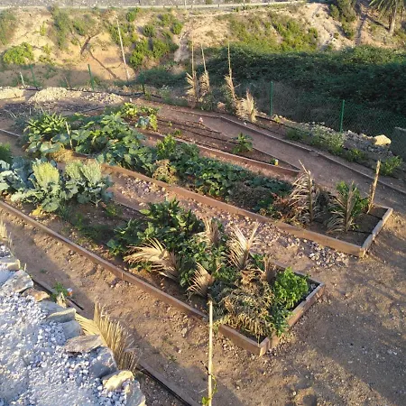 Sustainable Rural House La Lisa Dorada * Agulo